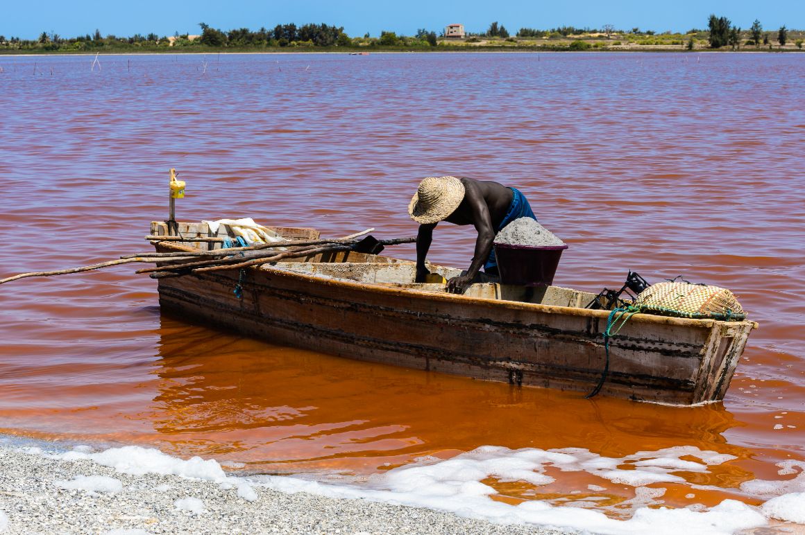 Těžba soli v růžovém jezeře, Senegal