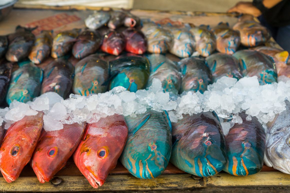 Ryby na trhu v Port Louis, Mauricius