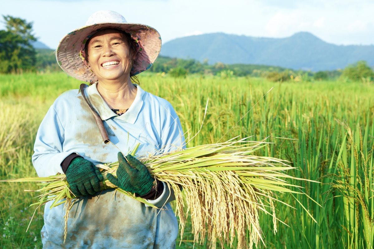 Usměvavá thajská farmářka