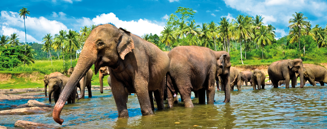 Srí Lanka Srí Lanka