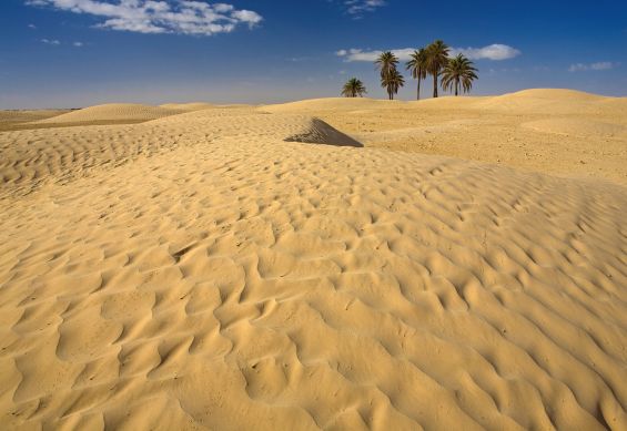 Tunisko - Djerba