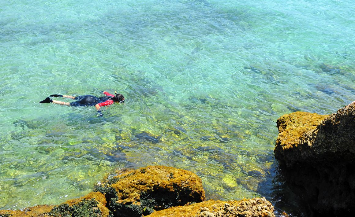 Šnorchlování u pláže Bolonia, Costa de la Luz