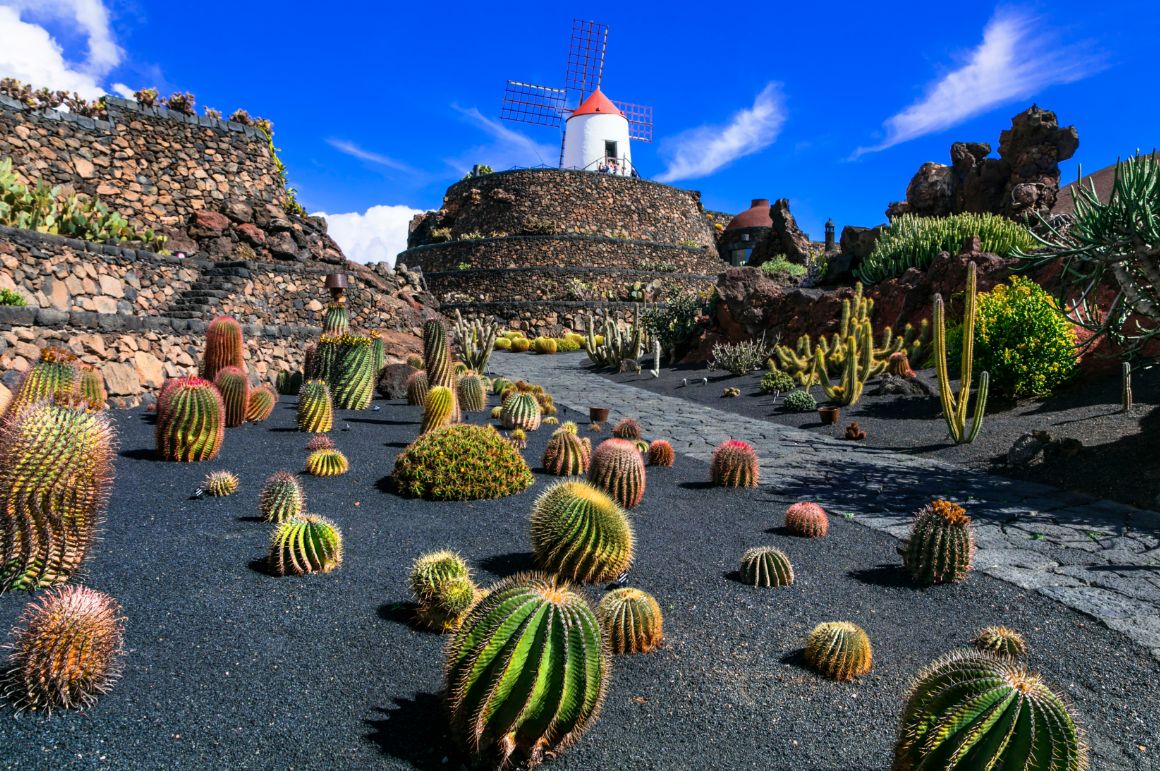 Kaktusová zahrada Césara Manriqueho na Lanzarote
