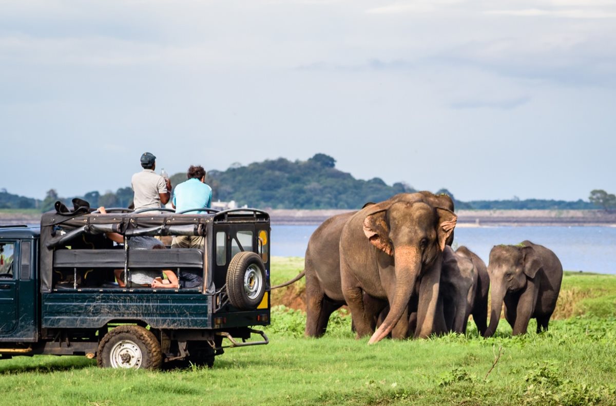 Národní park Minneriya, Srí Lanka