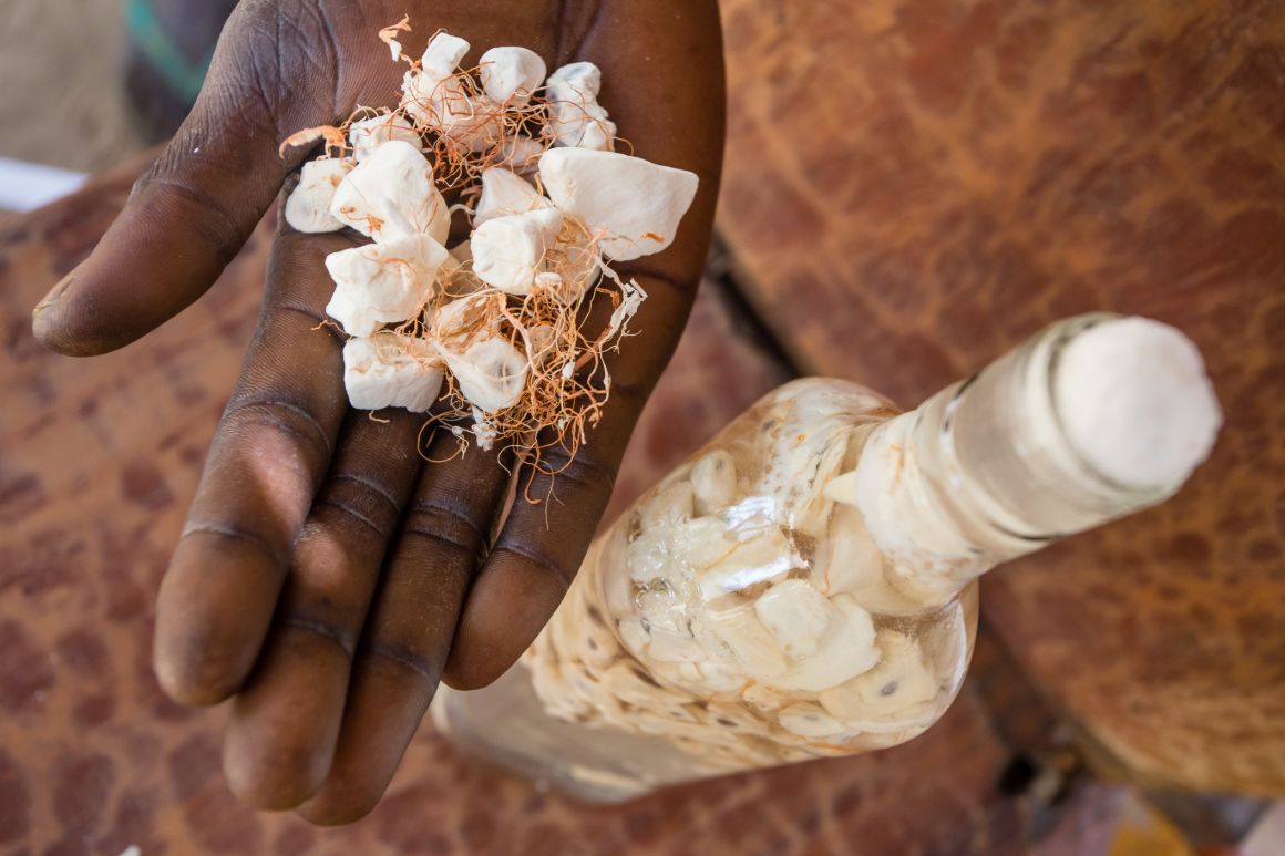 Dužnina plodů baobabu, Senegal