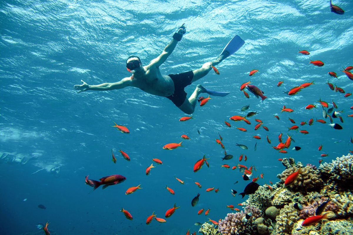 Šnorchlování, Hurghada, Egypt