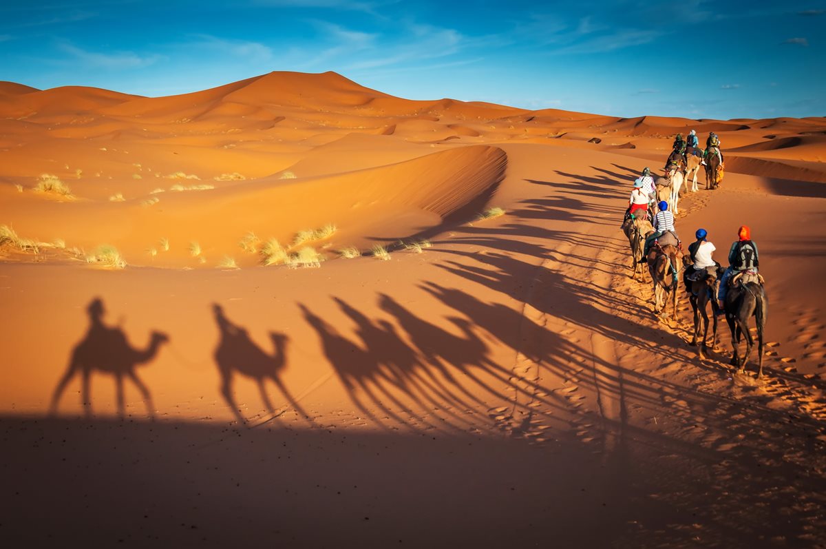 Výlet do pouště s velbloudy, Arabské emiráty