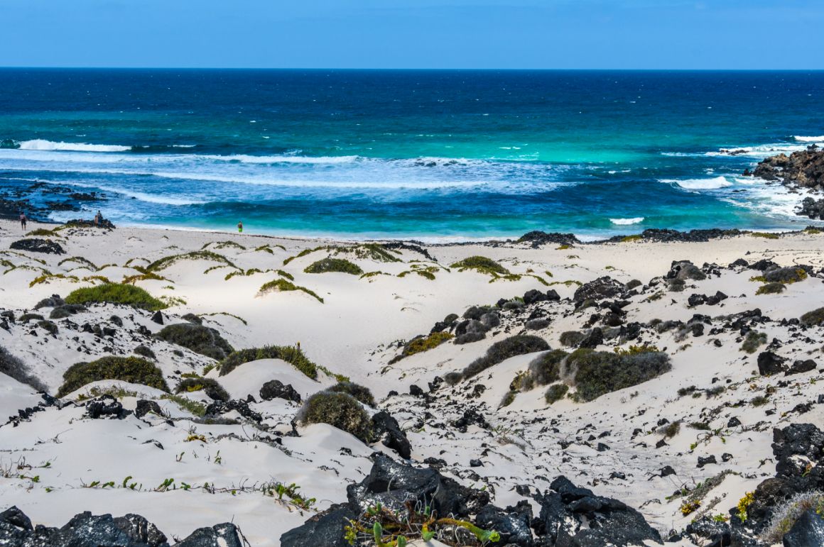 Caleton blanco, Lanzarote