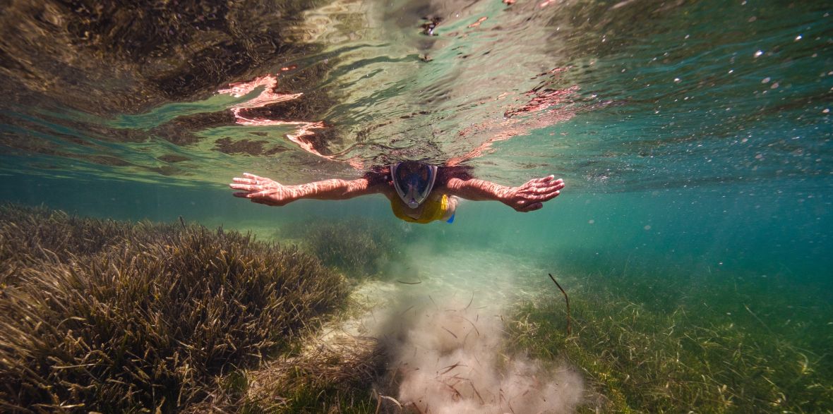 Šnorchlování u Ibizy