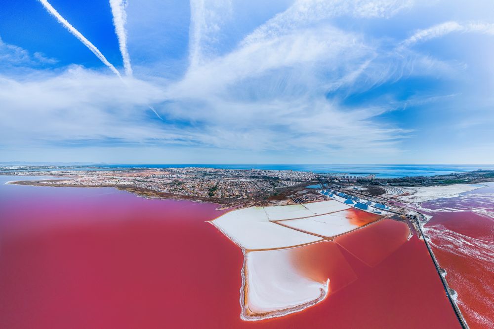 Růžová laguna, Torrevieja