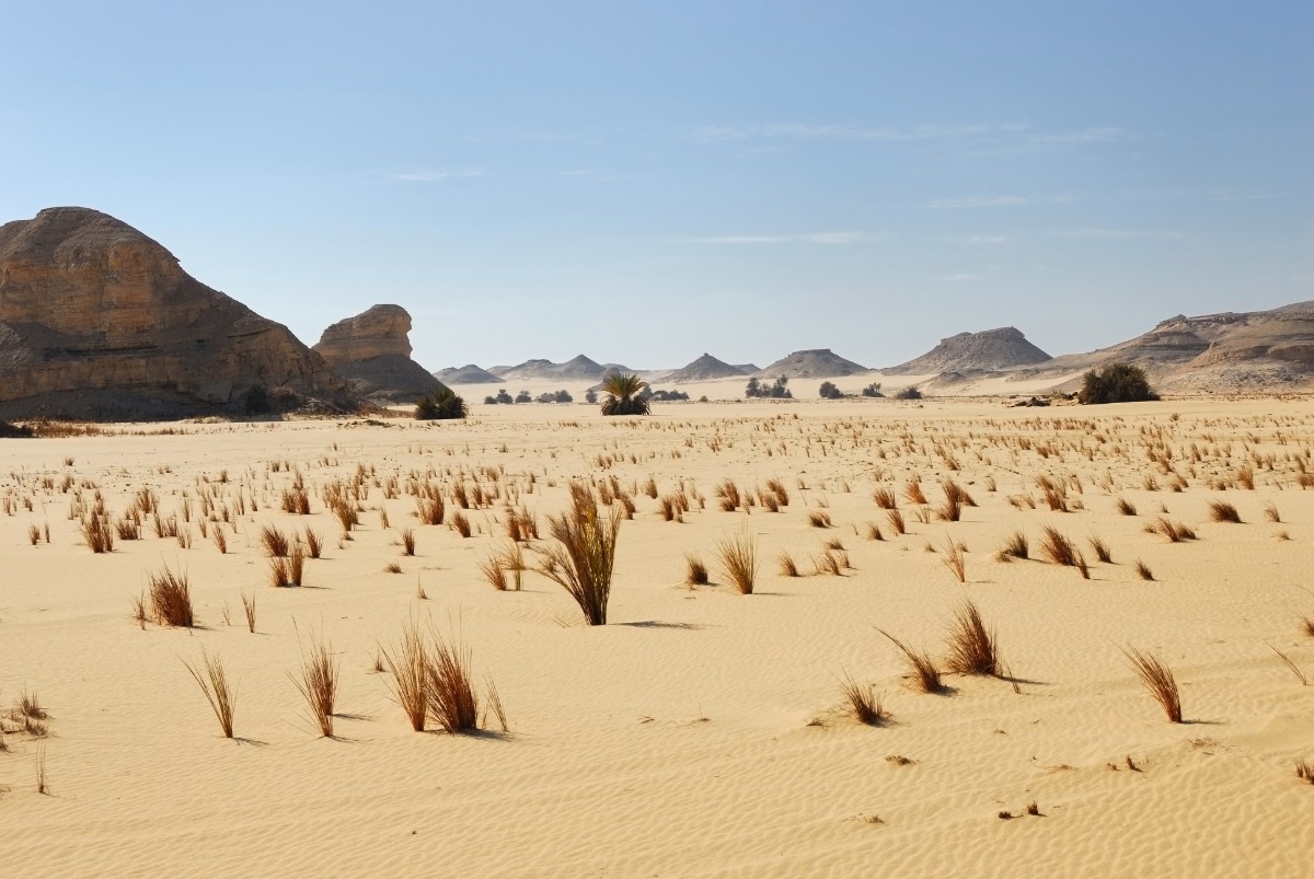 Západní Sahara v Egyptě