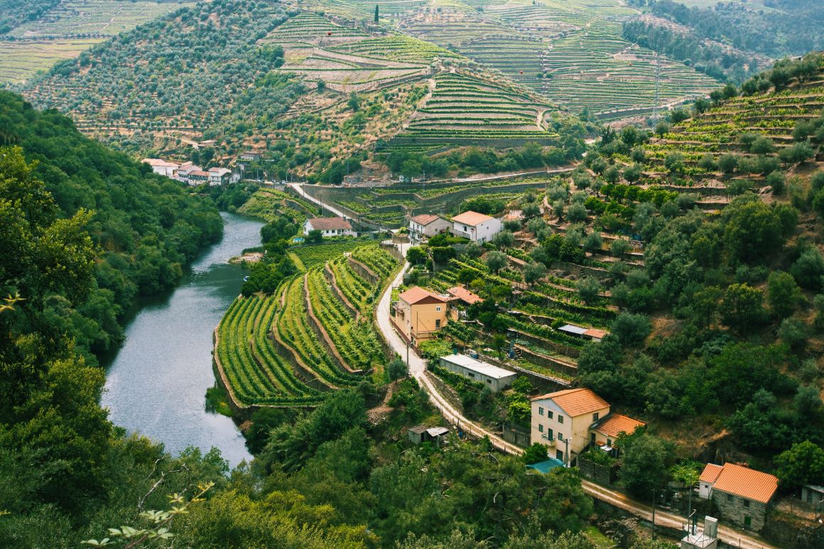Údolí řeky Douro s vinicemi, Portugalsko
