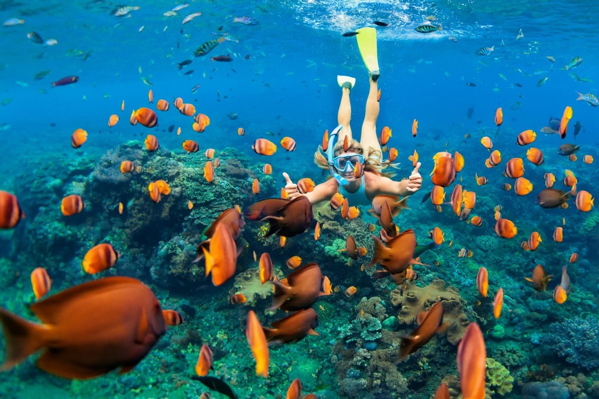 Podmořský svět na Maledivách