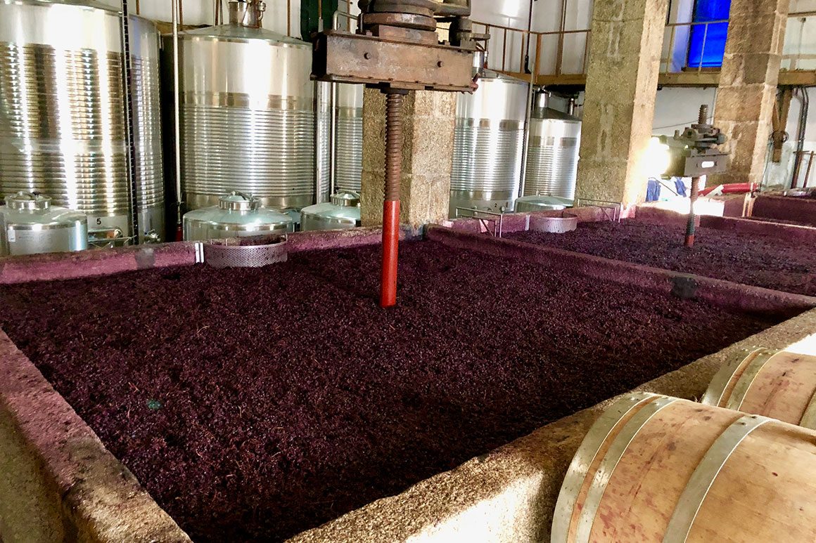 Výroba portského vína, Douro, Portugalsko
