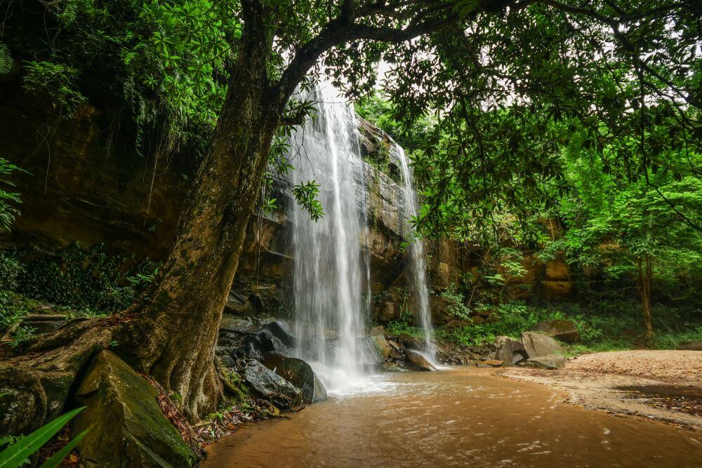 Vodopády v Shimba Hills National Reserve 
