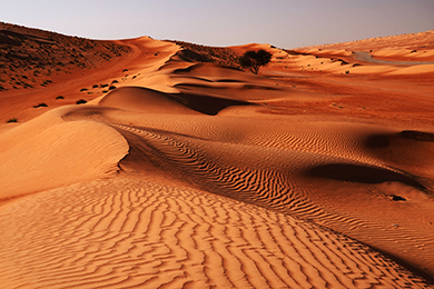 Písečná poušť Wahiba