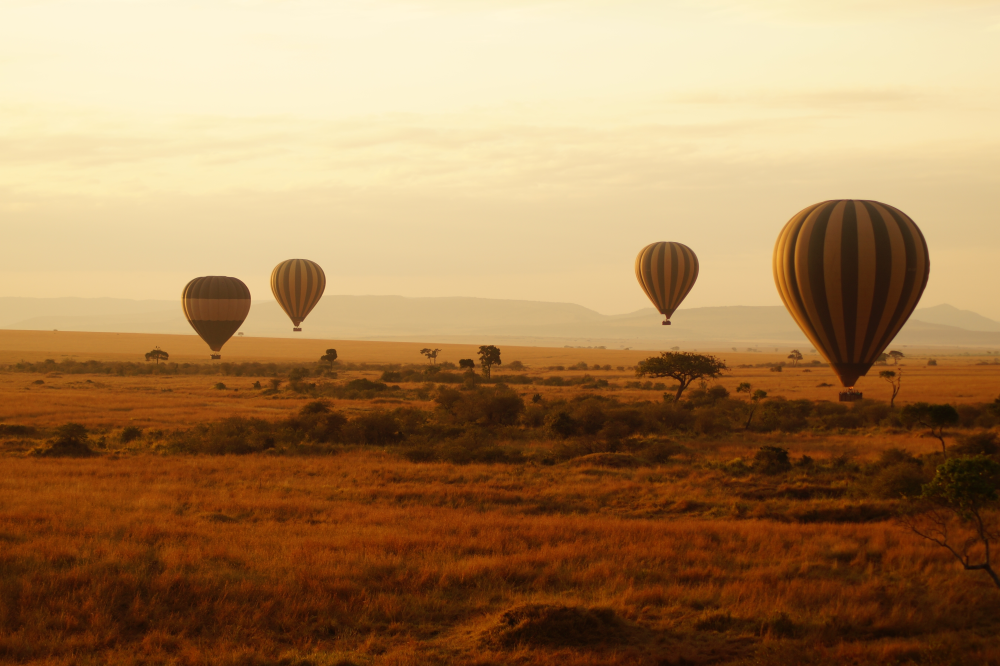 Národní rezervace Masai Mara