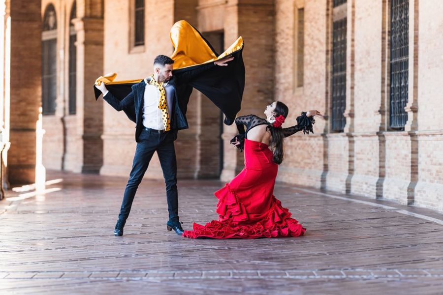 Flamenco v Seville Flamenco v Seville
