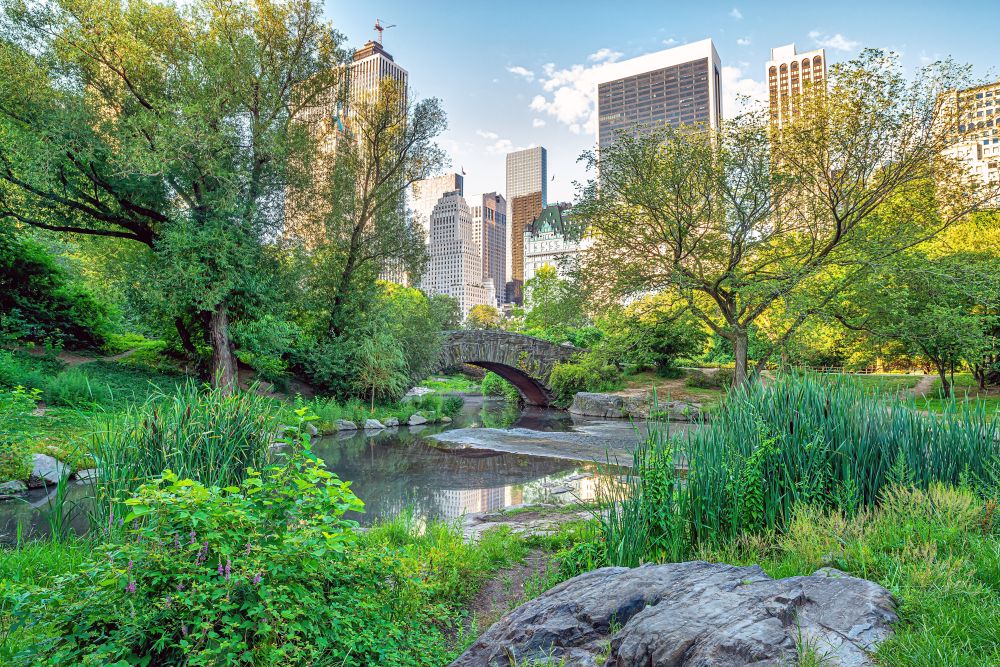 Gapstow Bridge v Central Parku