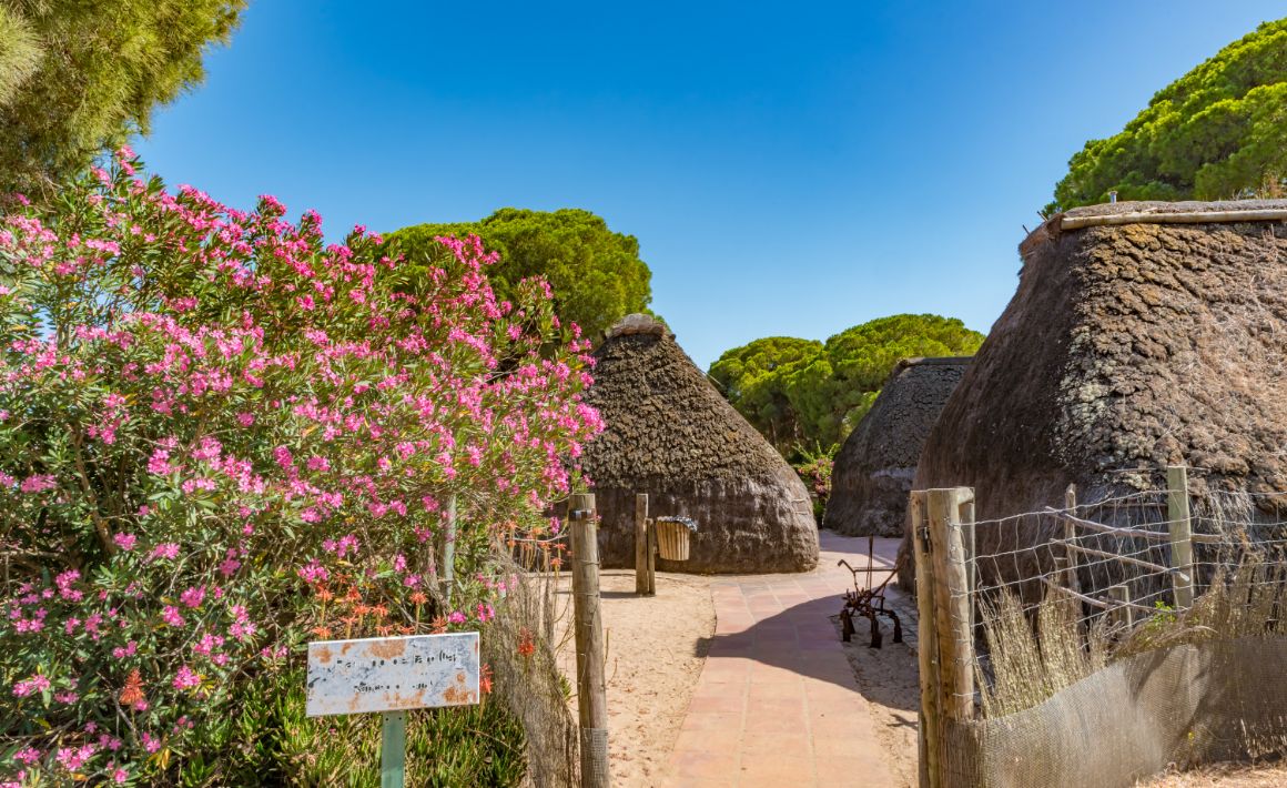 Národní park Doñana, Costa de la Luz