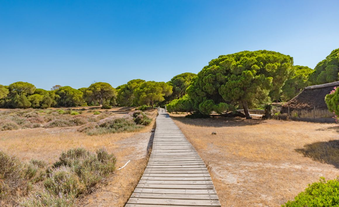 Národní park Donaña, Costa de la Luz