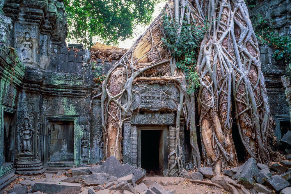 Chrám Ta Prohm, Angkor, Kambodža
