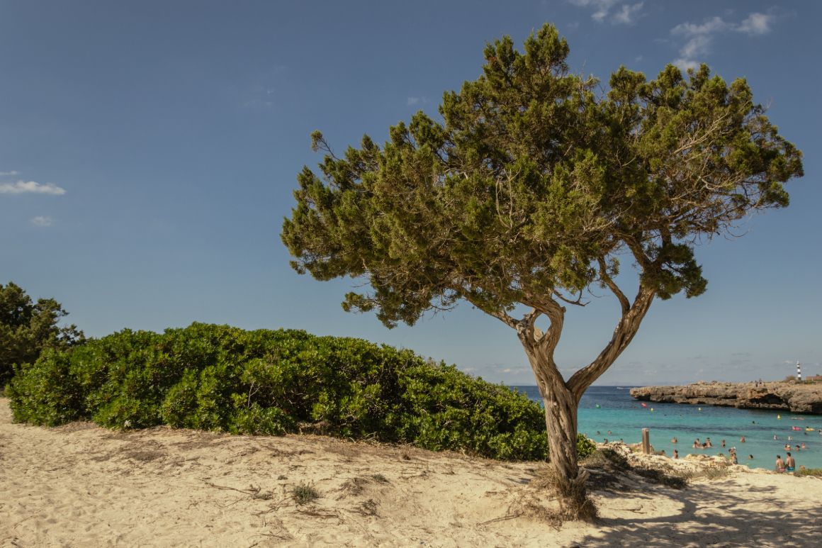 Pláž Cala´n Bosch, Menorca
