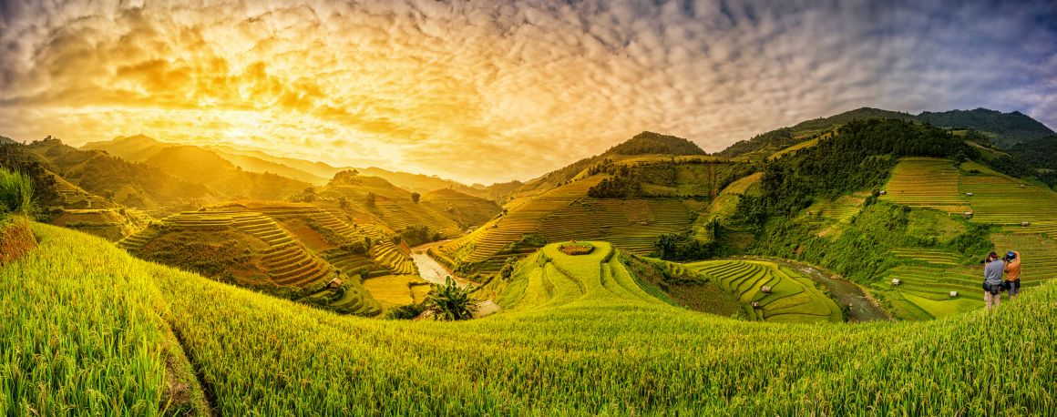 Rýžová pole, Sapa, Vietnam