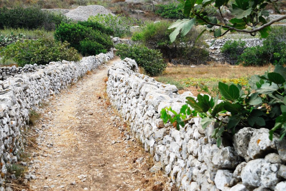 Cesta v horách, Karpathos Cesta v horách, Karpathos
