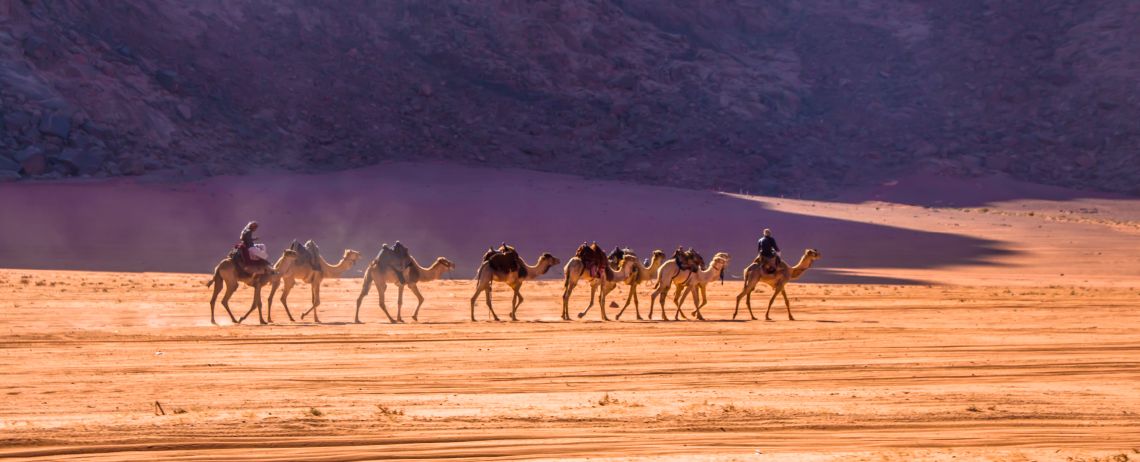 Velbloudi ve Wadi Rum, Jordánsko