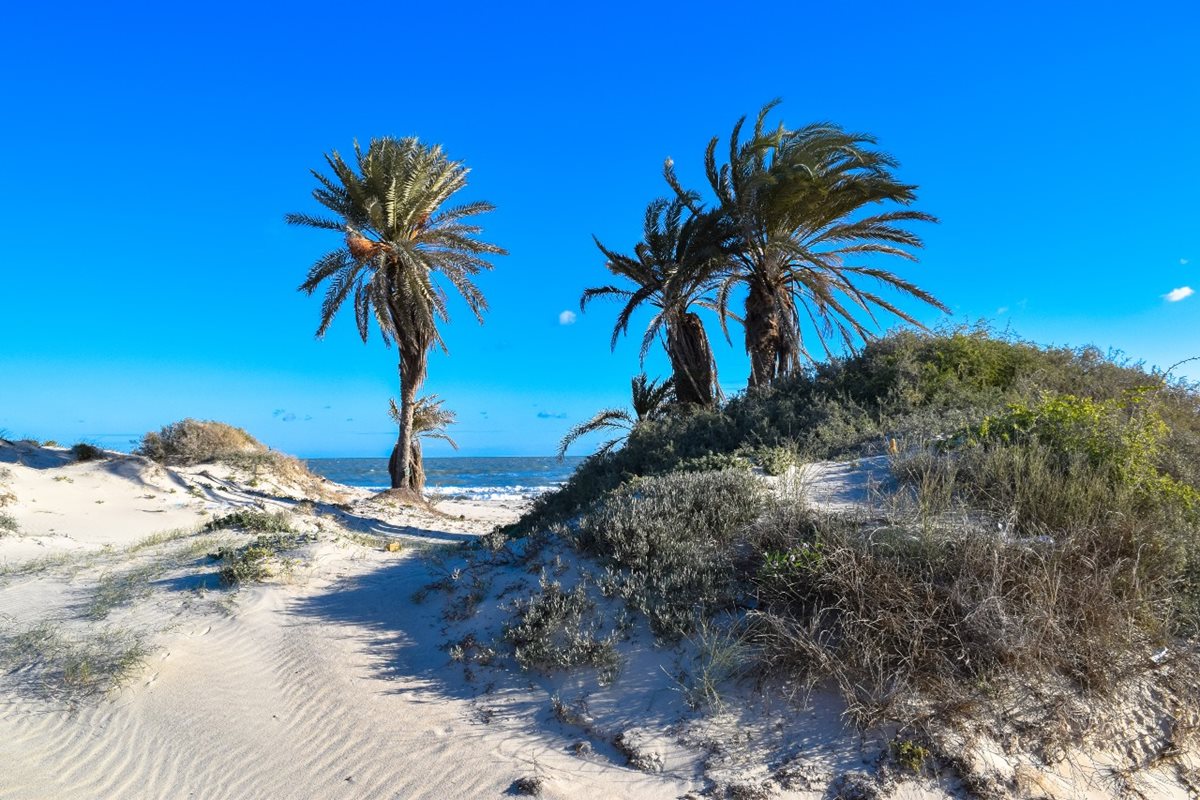 Ras R’mal, pláž a přírodní rezervace, Djerba, Tunisko
