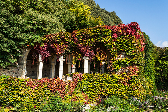 Botanická zahrada, Balčik