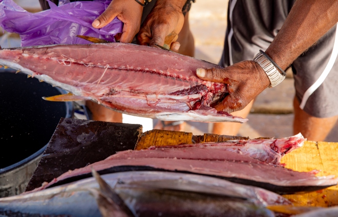 Ryby se prodávají čerstvě ulovené ještě na molu, ostrov Sal