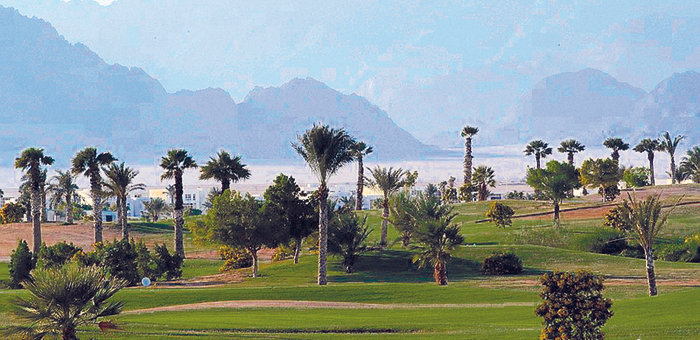 Golf v Sharm El Sheikhu