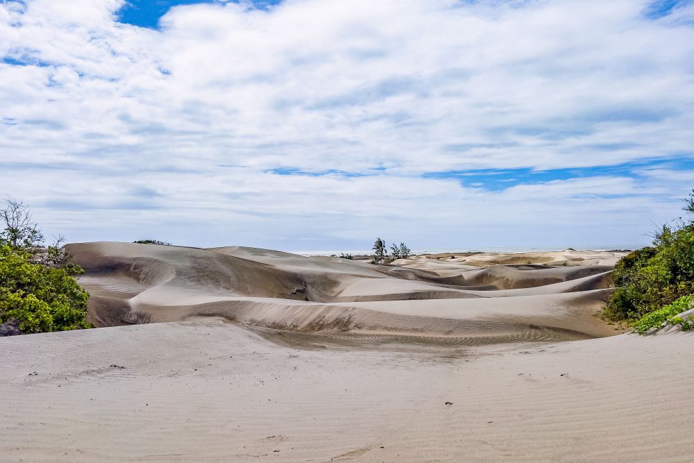 Písečné duny Mambrui 