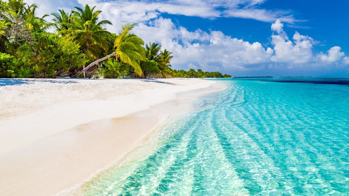 Maledivská plážMaledivská pláž